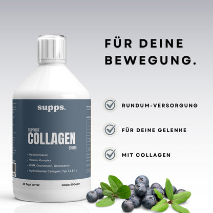 Collagen Support