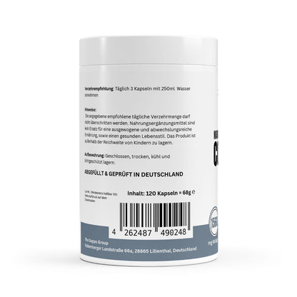 Marine Collagen