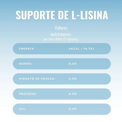 Suporte de proteína L-lisina